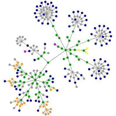 структура информации в сети интернет 
