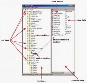 Какая ветвь реестра Windows разделе HKEY_LOCAL_MACHINE: настройка и основы редактирования